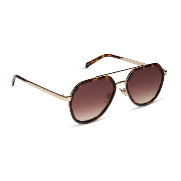 Joey in Rich Tortoise