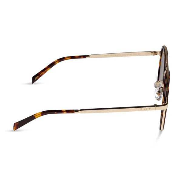 Joey in Rich Tortoise
