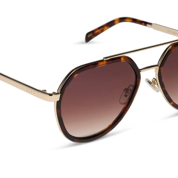 Joey in Rich Tortoise