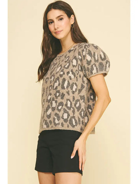 Leopard Knit Sweater