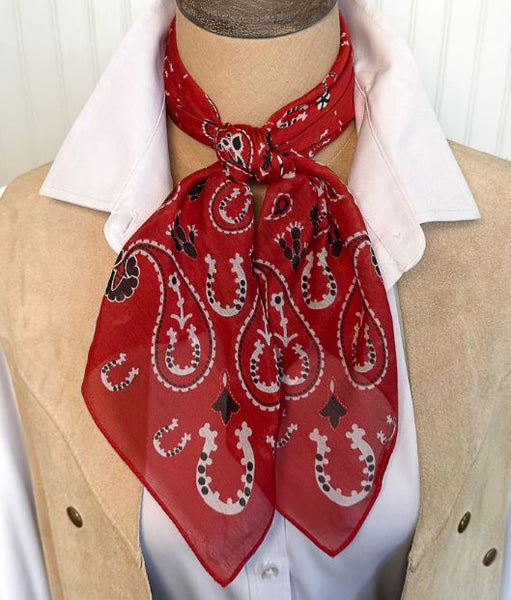 Fringe Scarves Luck Be A Paisley