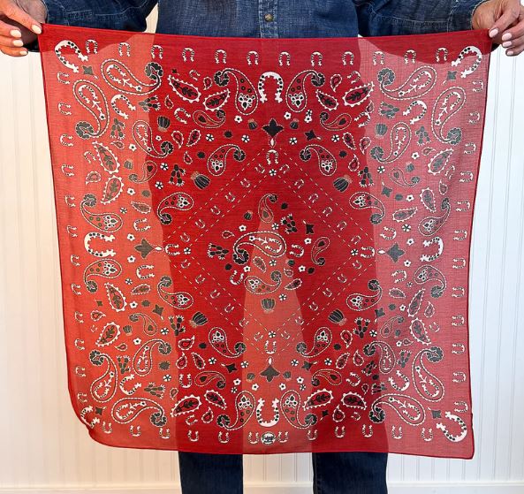 Fringe Scarves Luck Be A Paisley