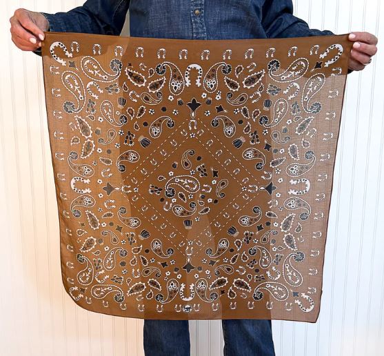 Fringe Scarves Luck Be A Paisley