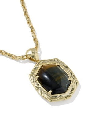 Tiger Striped Daphne Long Necklace in Gold & Dark Brown Hawkeye